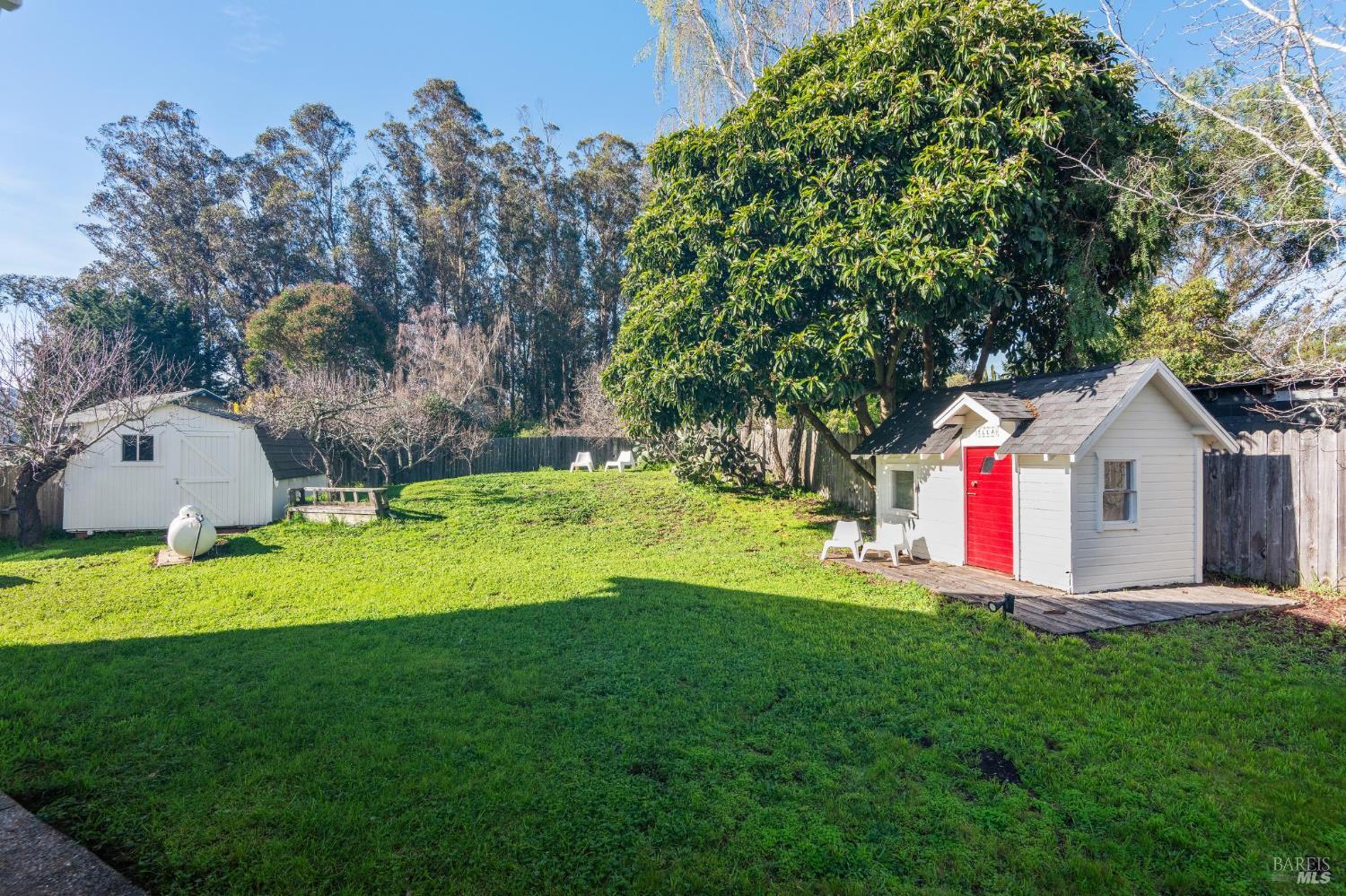700 B Street Point Reyes Station, CA 94956 - Photo 16 of 26 a front view of house with yard and trees