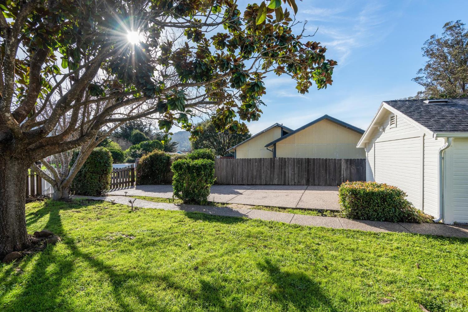 700 B Street Point Reyes Station, CA 94956 - Photo 26 of 26 a house with trees in the background