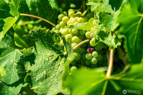 $799,000 | 344 Silica Road Northwest, Unit 1, Quincy, WA 98848