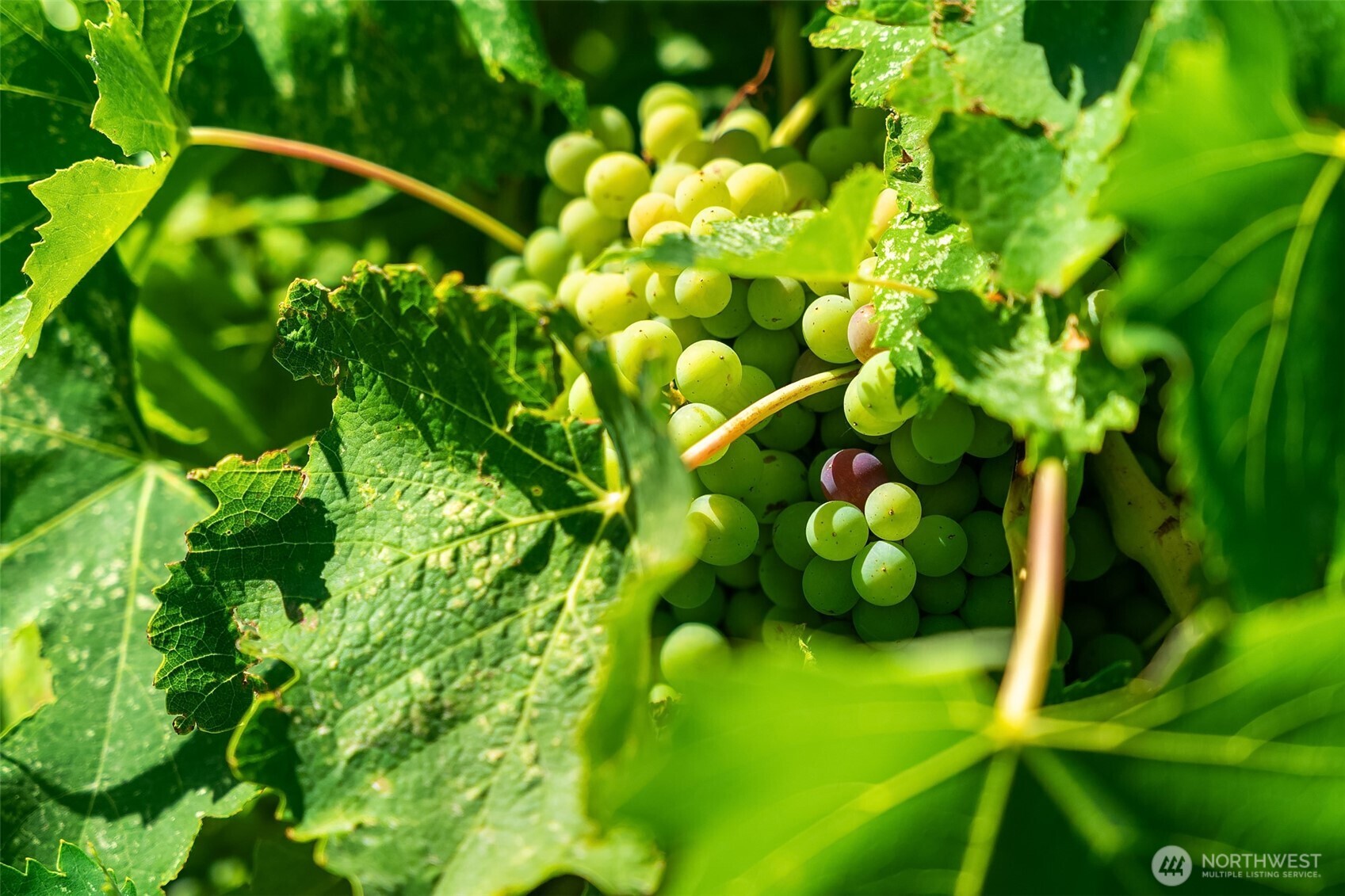 344 Silica Road Northwest, Unit 1 Quincy, WA 98848 - Photo 29 of 30 a view of plant