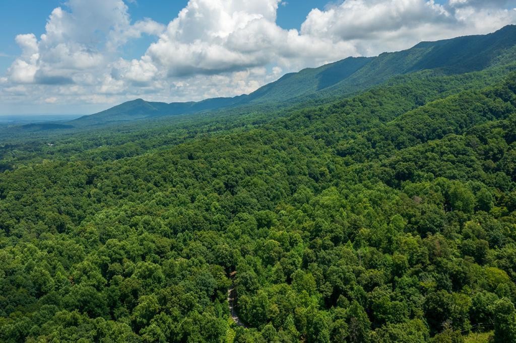 9 Blowing Cave Road Sevierville, TN 37876 - Photo 2 of 10