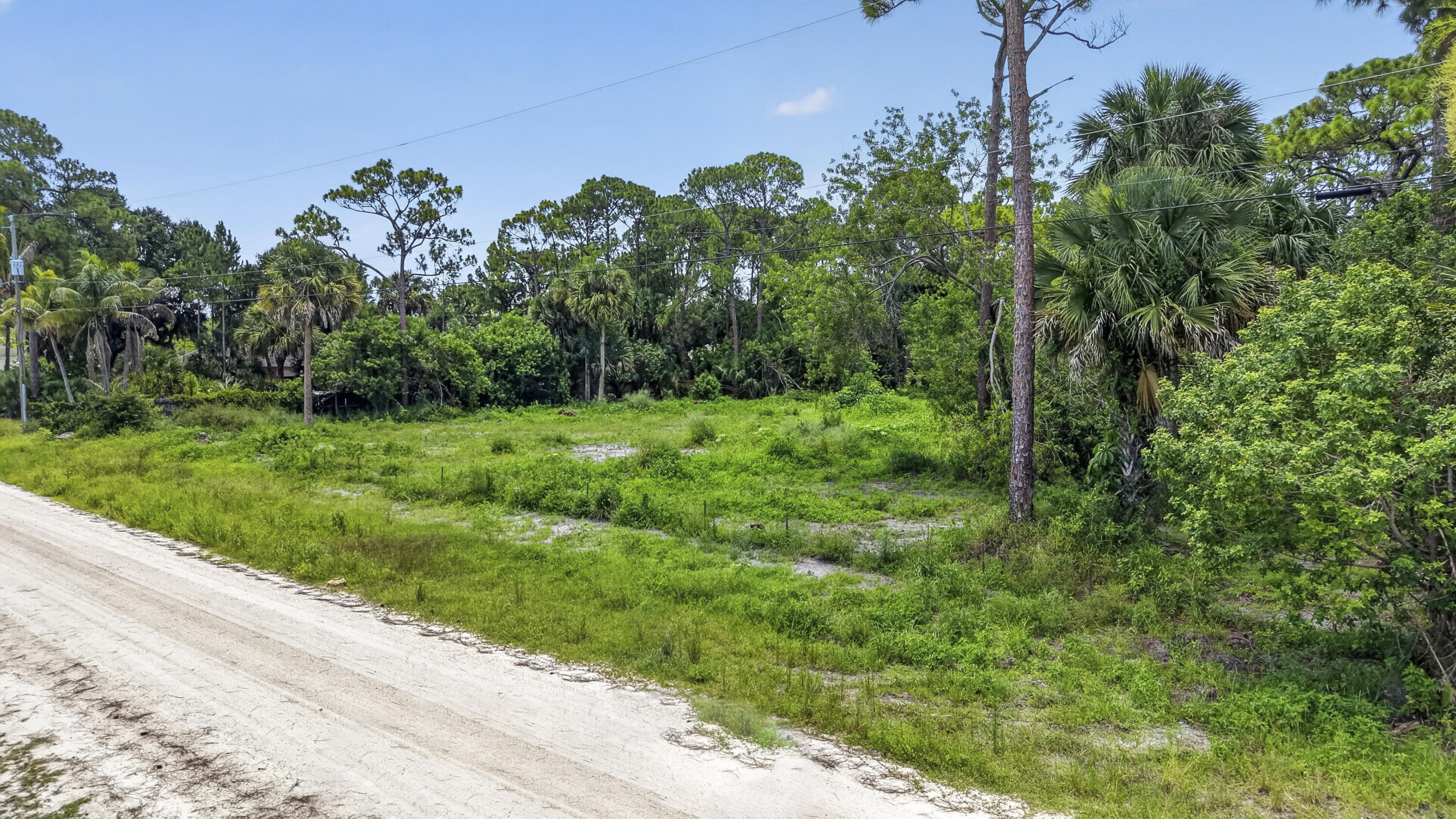 17072 93rd Road North The Acreage, FL 33470 - Photo 18 of 22 DJI_20260713124349_0611_D