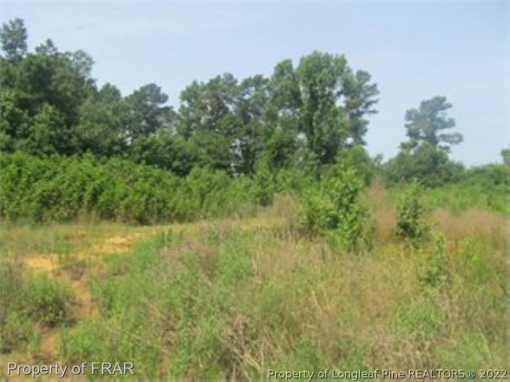 188 Kel Roy Road Clinton, NC 28328 - Photo 1 of 4 Gallery Image 1