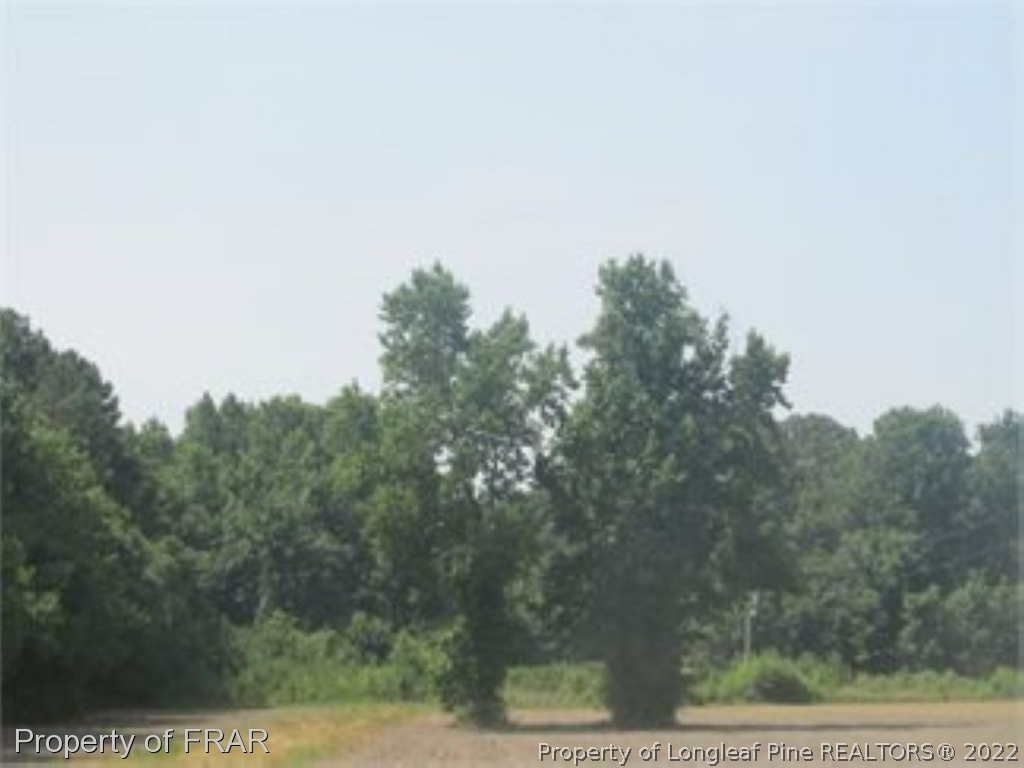 188 Kel Roy Road Clinton, NC 28328 - Photo 2 of 4 Gallery Image 2