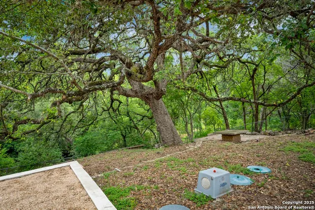 a view of a yard with a house and a tree
