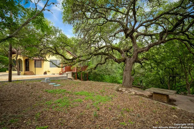 a view of backyard with green space