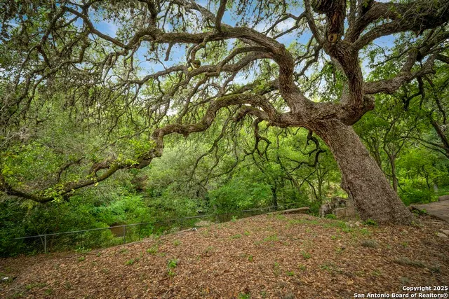 $1,895 | 18111 Lakeshore Drive, Helotes, TX 78023