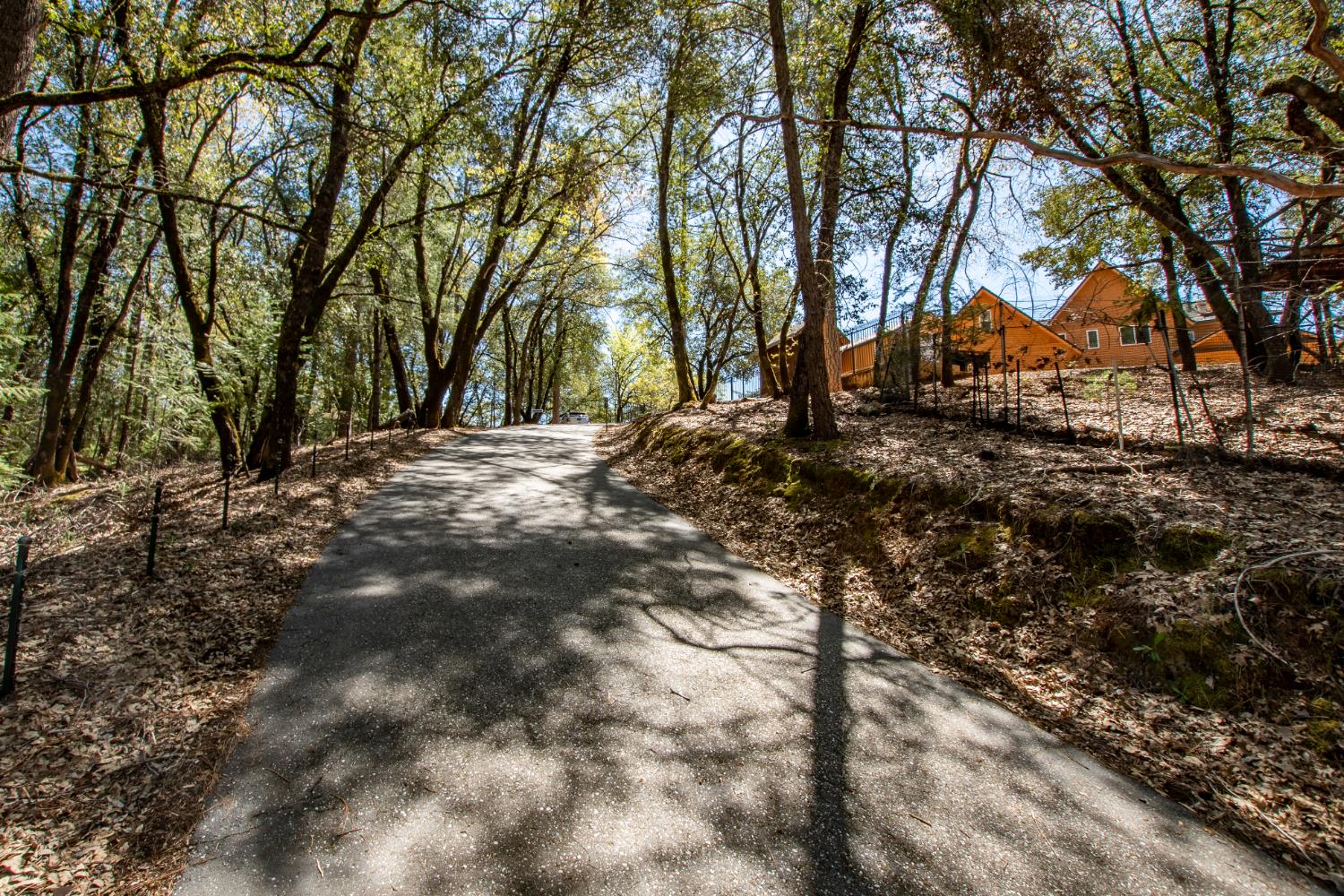 717 Swanson Lane Colfax, CA 95713 - Photo 42 of 44 a view of a yard with trees