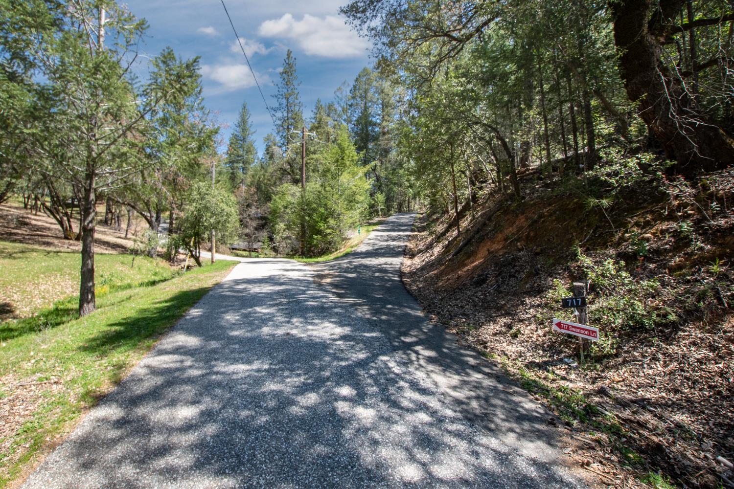 717 Swanson Lane Colfax, CA 95713 - Photo 43 of 44 a view of outdoor space and yard