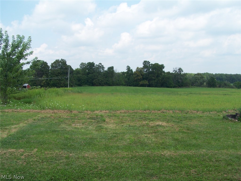 3838 Steiner Road Creston, OH 44217 - Photo 5 of 11 Gallery Image 5