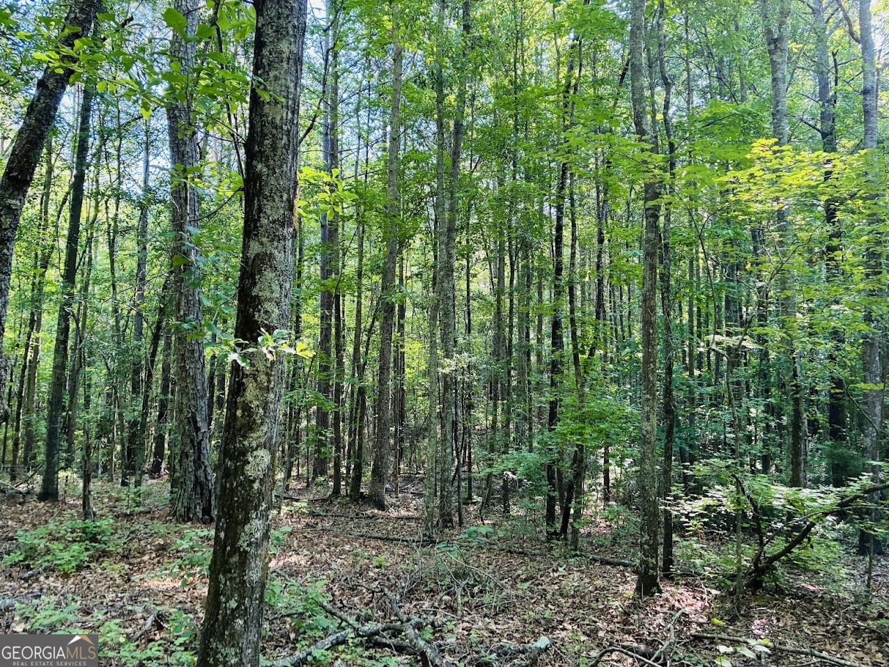 0 Creek Road, Unit LOT 3 Ashland, AL 36251 - Photo 5 of 16