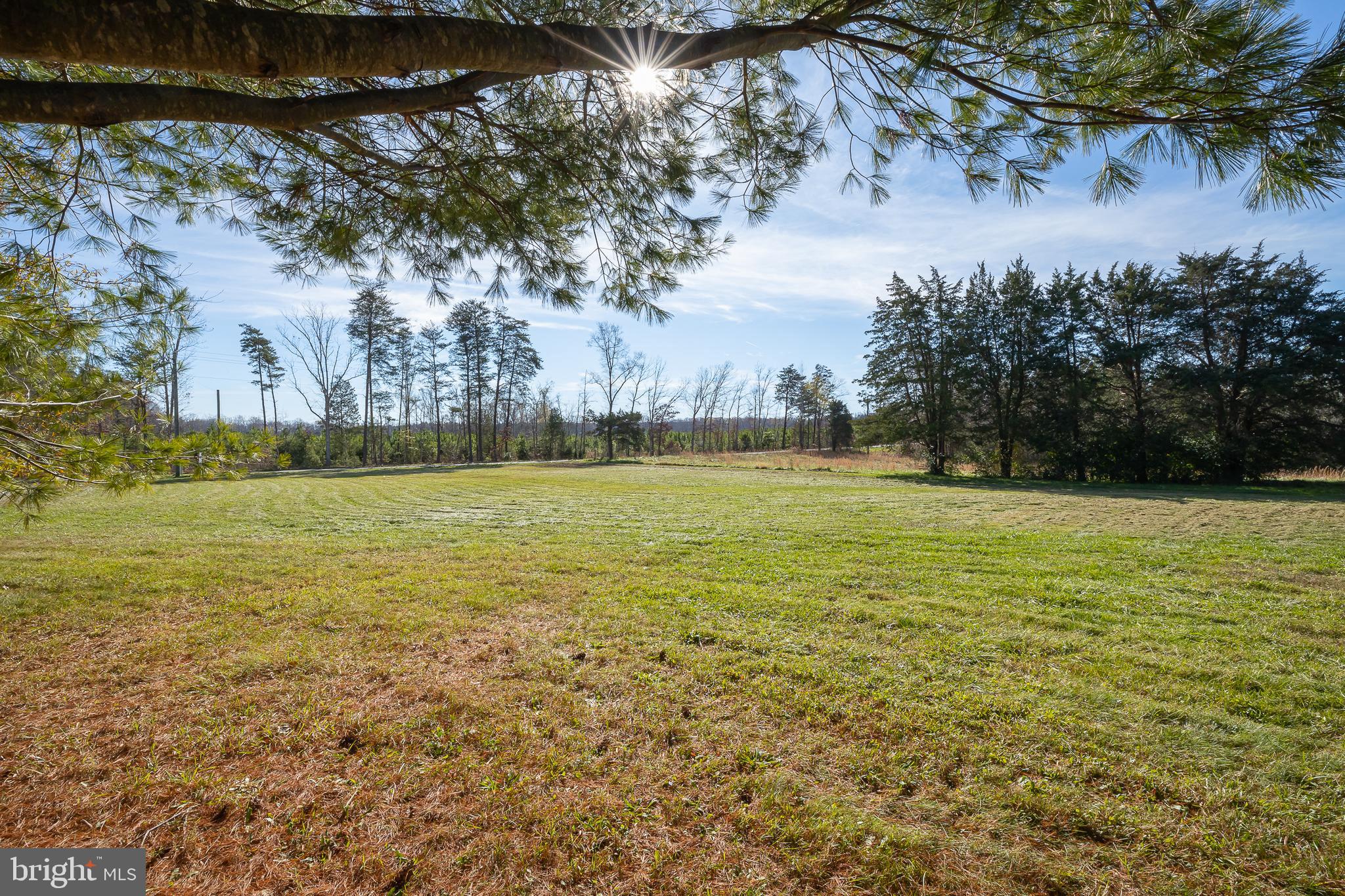 2334 Mt Olive Road Beaverdam, VA 23015 - Photo 26 of 37 Lovely Level Lot!