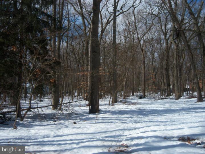 1205 Bridgeboro Road Edgewater Park, NJ 08010 - Photo 22 of 22 Gallery Image 22