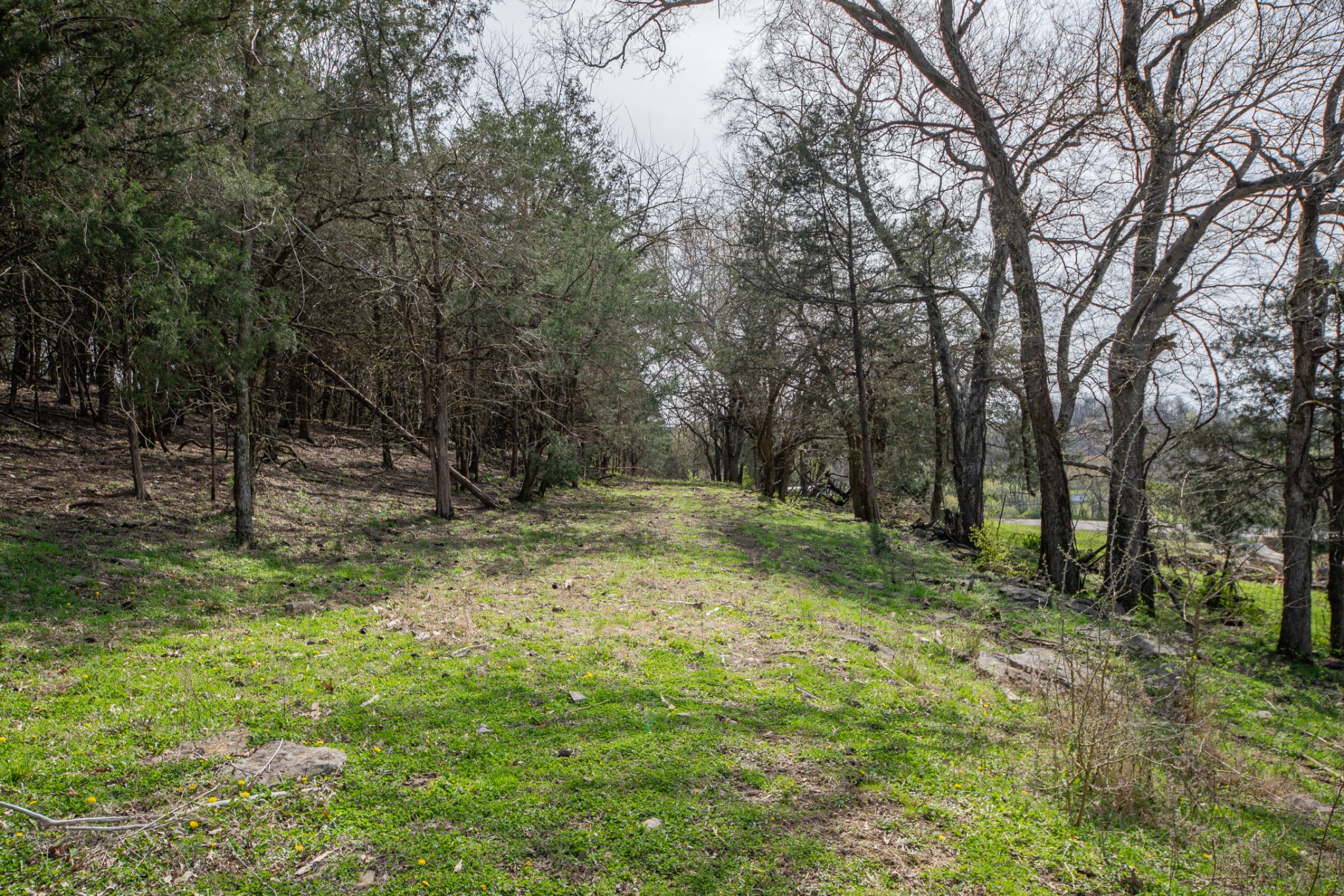 1839 Polly Adams Road Belfast, TN 37019 - Photo 31 of 65