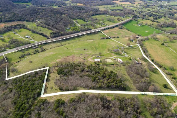 a view of plant from a balcony