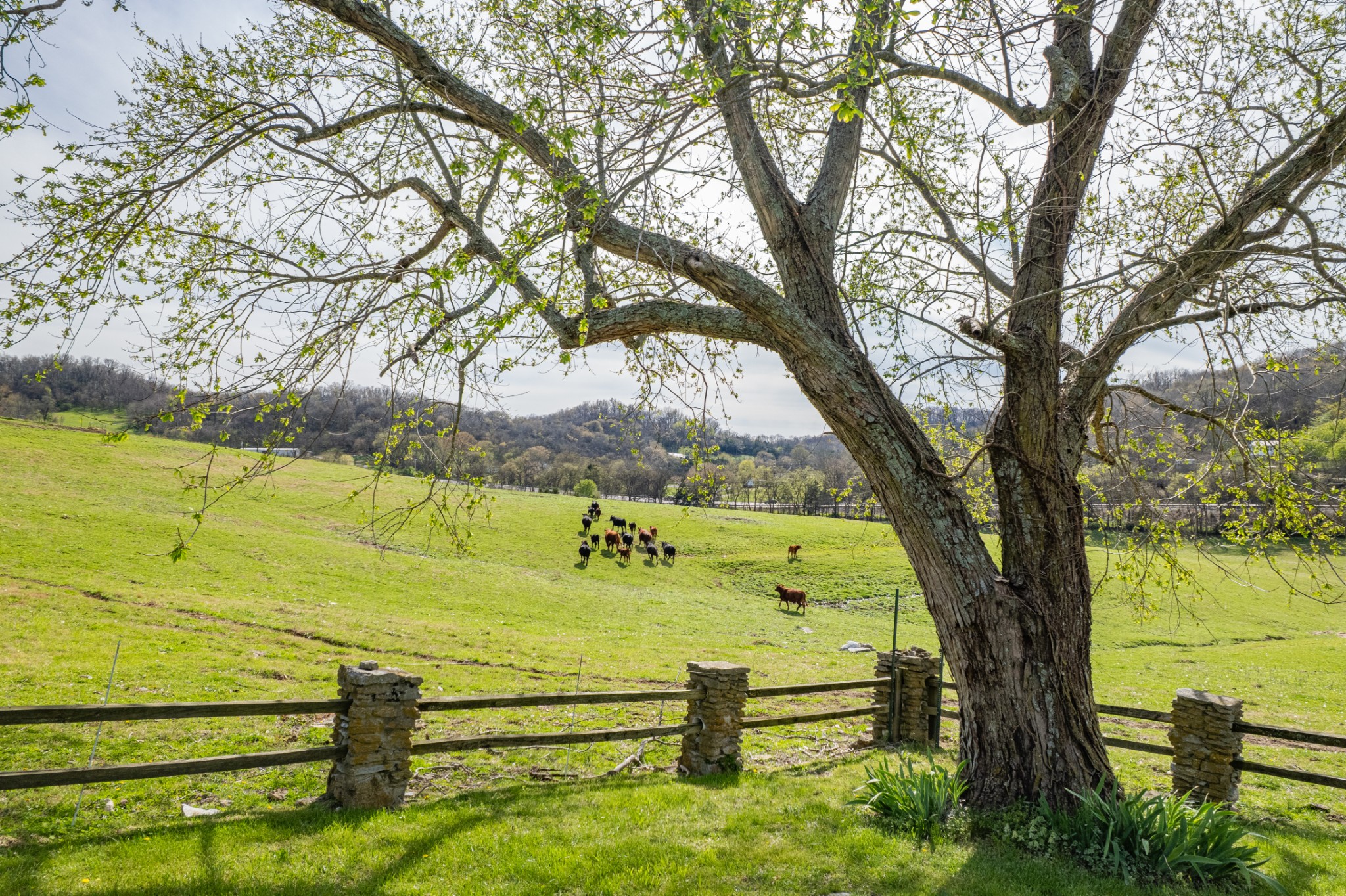 1839 Polly Adams Road Belfast, TN 37019 - Photo 44 of 65