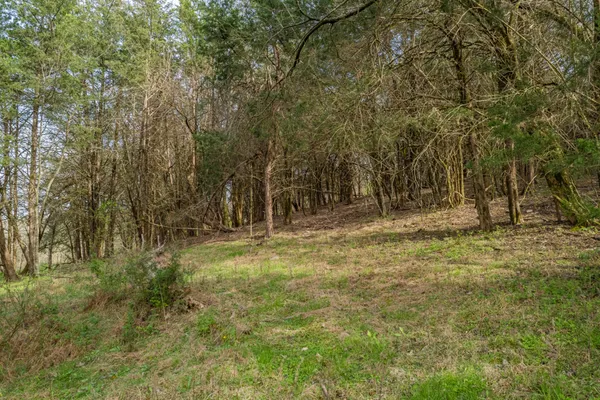 a view of an ocean and beach
