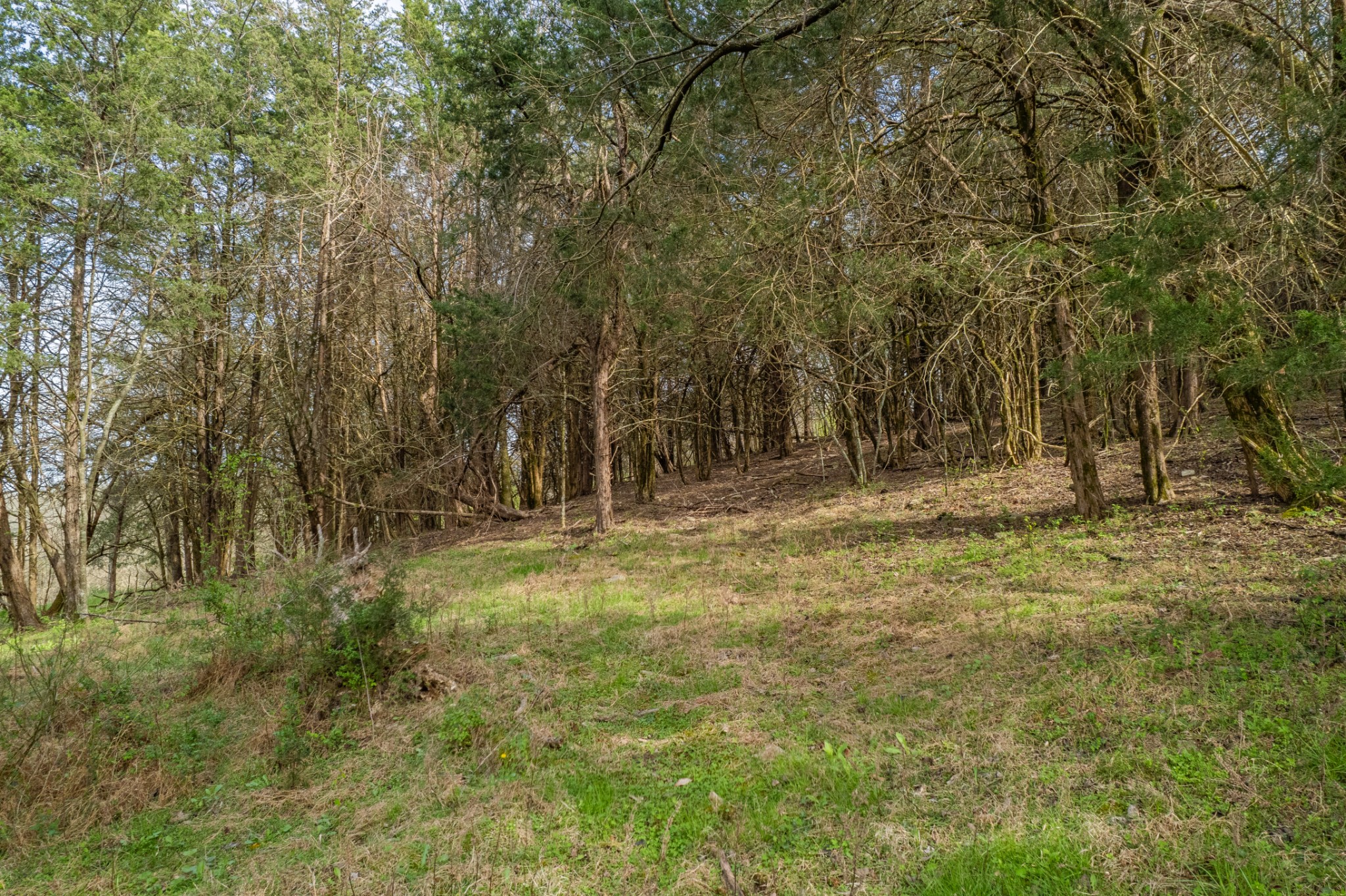 1839 Polly Adams Road Belfast, TN 37019 - Photo 47 of 65