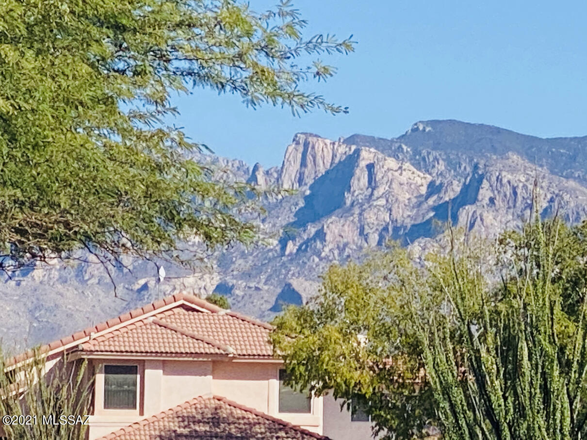 3650 West Mesa Ridge Trail Tucson, AZ 85742 - Photo 44 of 44