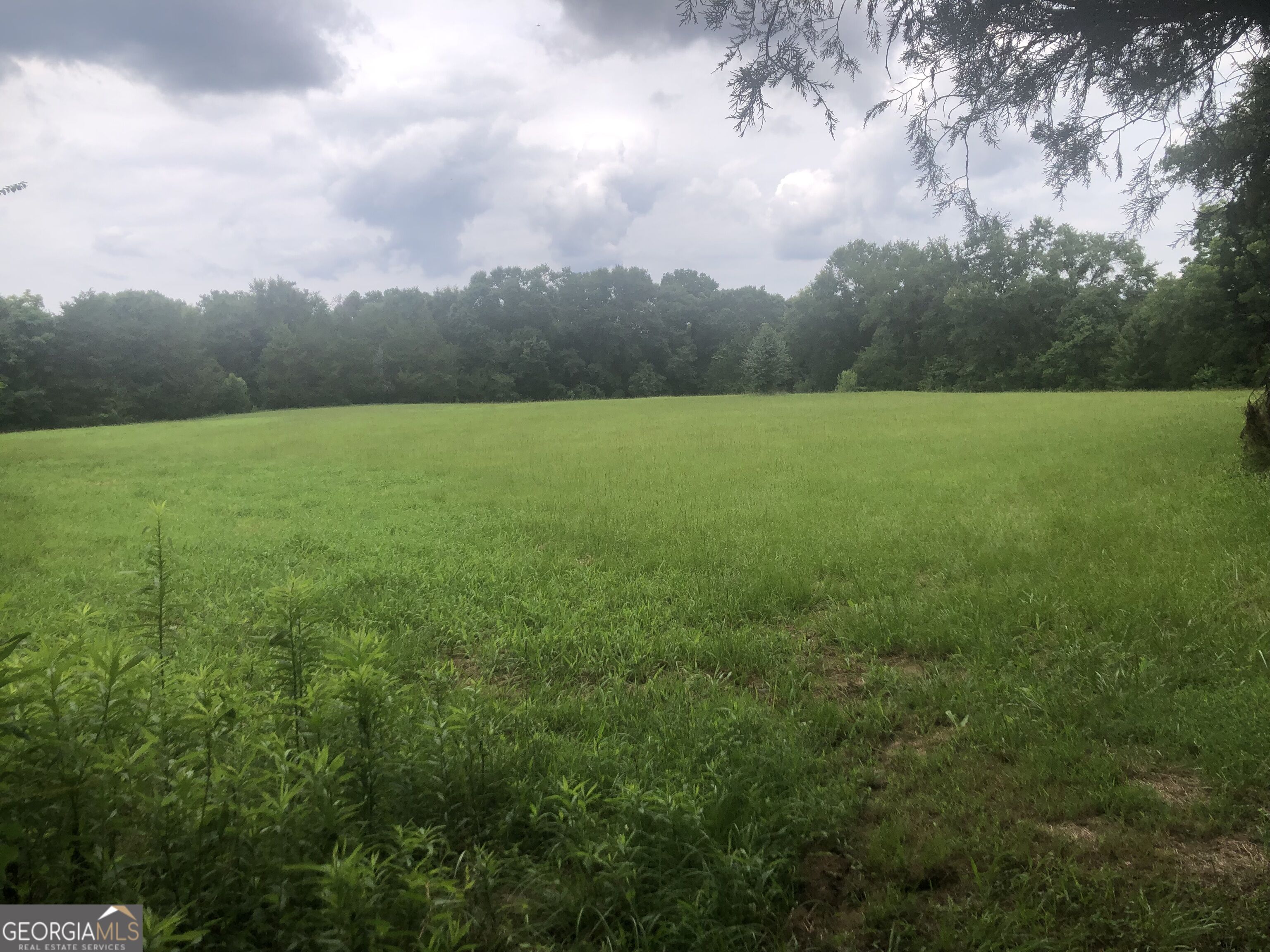 517 Trice Cemetery Road Thomaston, GA 30286 - Photo 31 of 32 Gallery Image 31