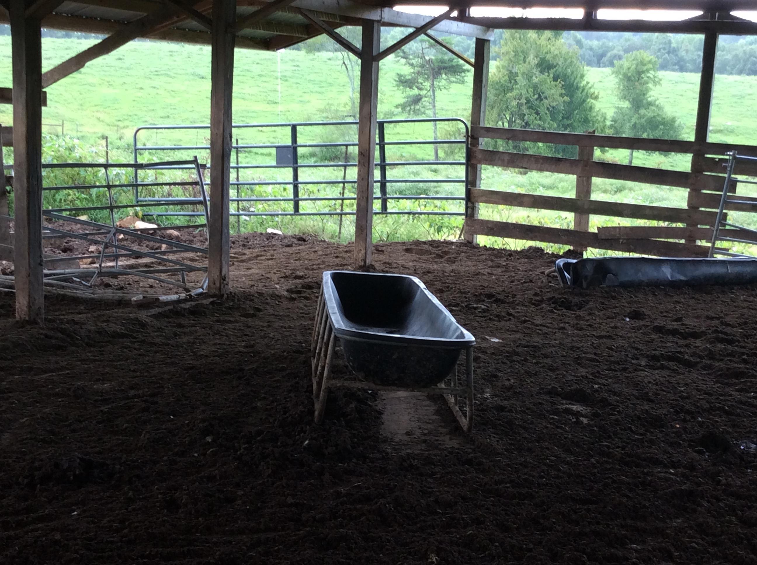 1599 Old Bean Shed Road Clarkrange, TN 38553 - Photo 33 of 35 ECD56256-85CF-45F8-B7AA-680133874664