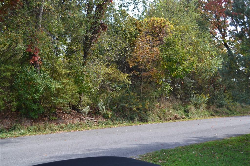 177 Iron Bridge Road Sarver, PA 16055 - Photo 4 of 15 a view of a yard with plants and trees