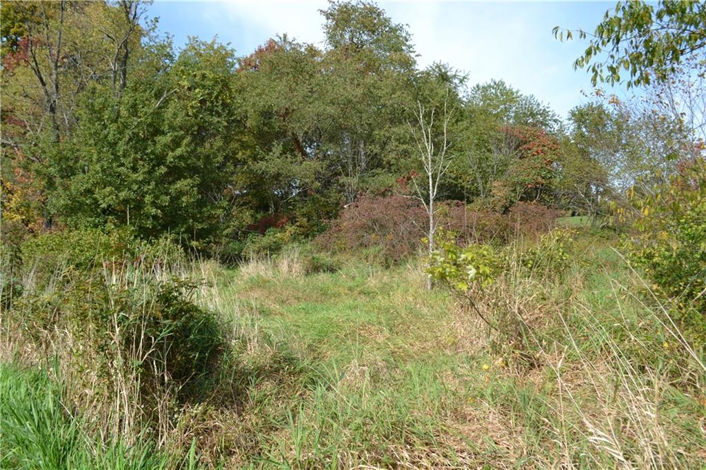177 Iron Bridge Road Sarver, PA 16055 - Photo 8 of 15 a view of a forest with a tree