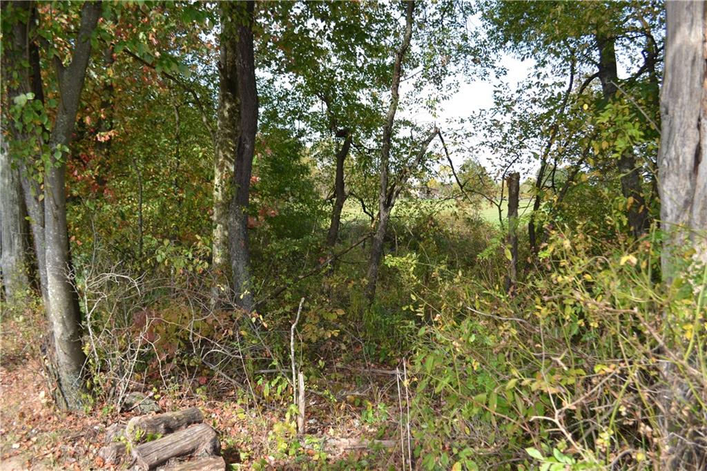177 Iron Bridge Road Sarver, PA 16055 - Photo 9 of 15 a view of a yard with a tree