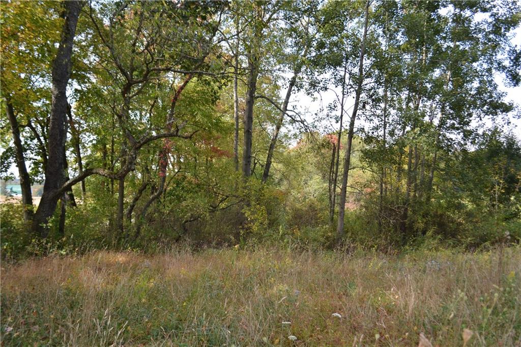 177 Iron Bridge Road Sarver, PA 16055 - Photo 10 of 15 a view of a forest with trees in the background