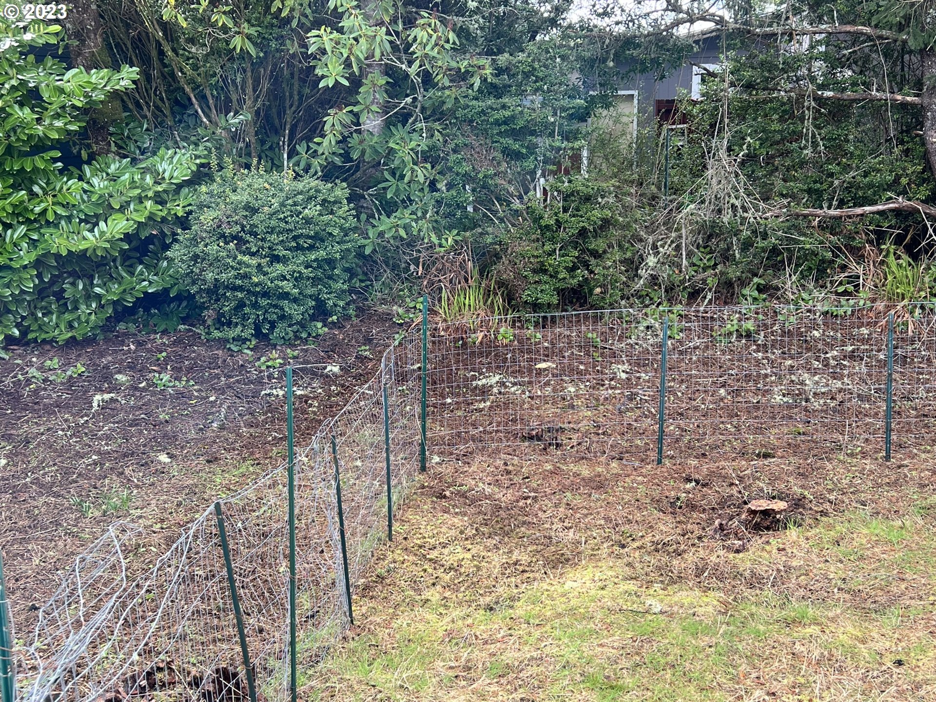 1601 Rhododendron Drive, Unit 586 Florence, OR 97439 - Photo 21 of 22 a view of a yard with plants and large trees