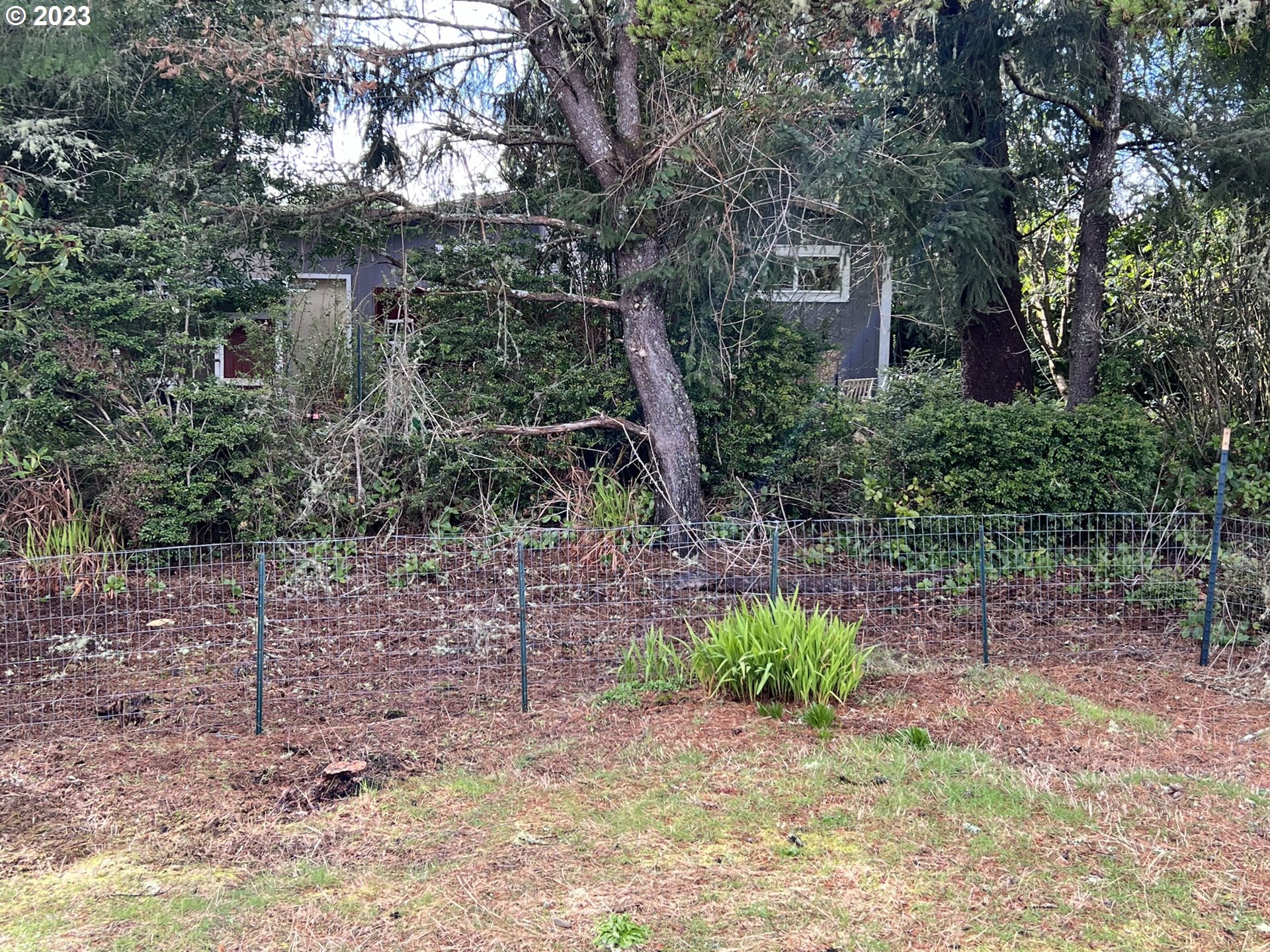 1601 Rhododendron Drive, Unit 586 Florence, OR 97439 - Photo 22 of 22 a backyard of a house with lots of green space