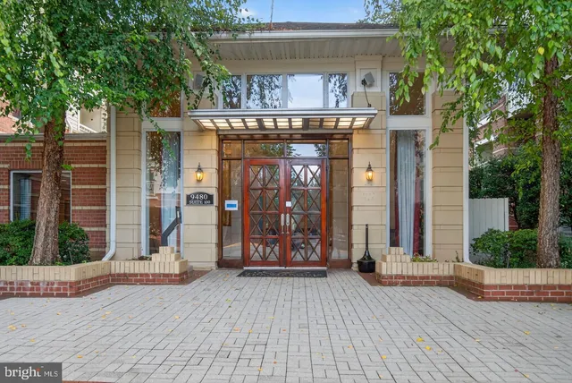 a view of outdoor space with wooden floor and tree