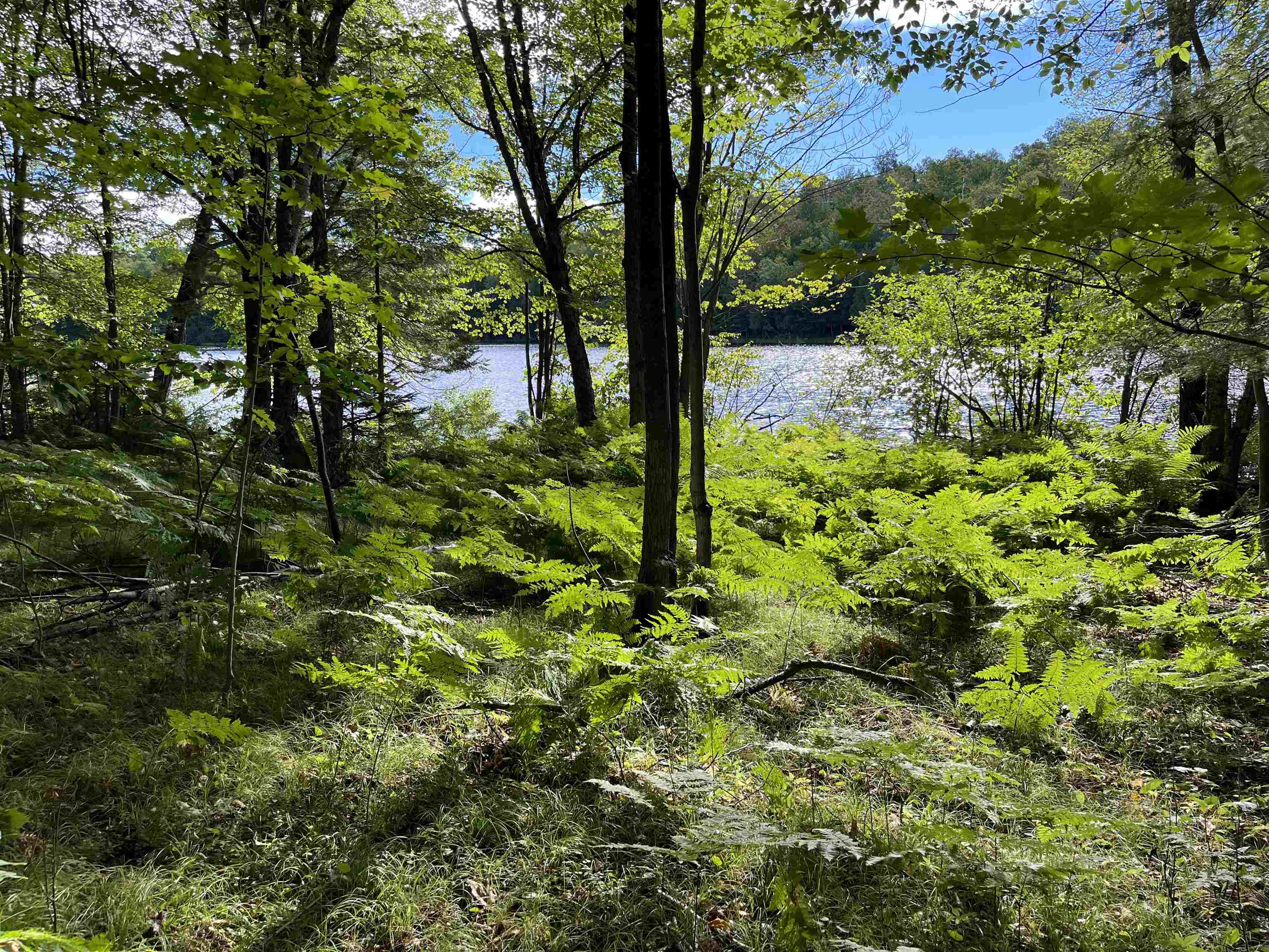 2361 Vast View Terrace Phelps, WI 54554 - Photo 4 of 62