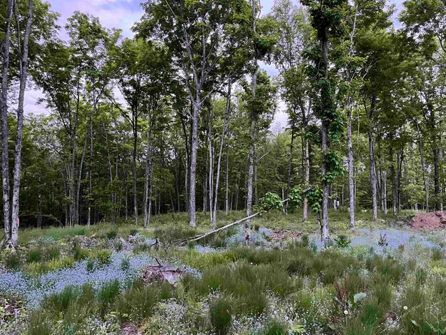 $389,900 | 2361 Vast View Terrace, Phelps, WI 54554