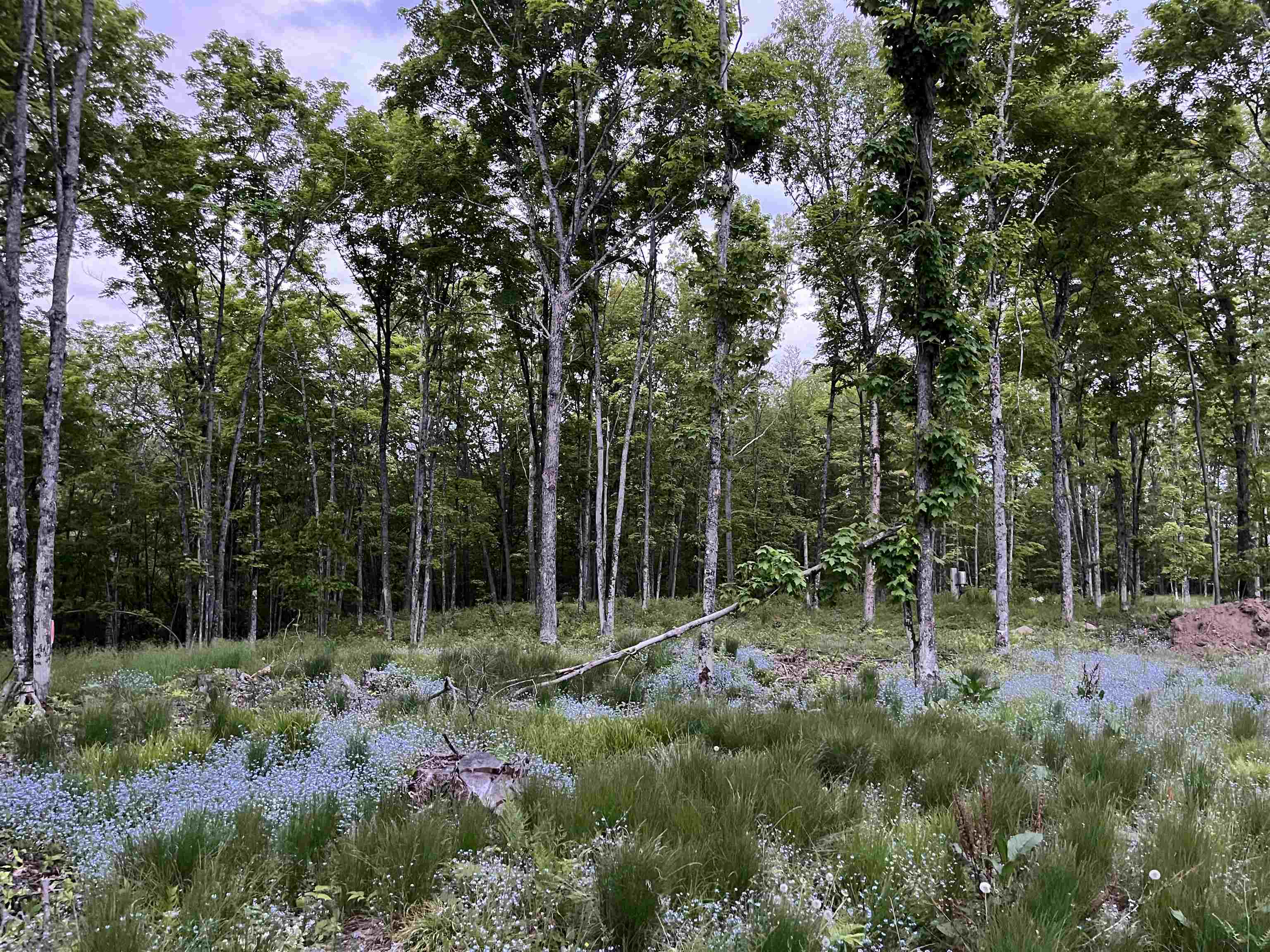 2361 Vast View Terrace Phelps, WI 54554 - Photo 56 of 62