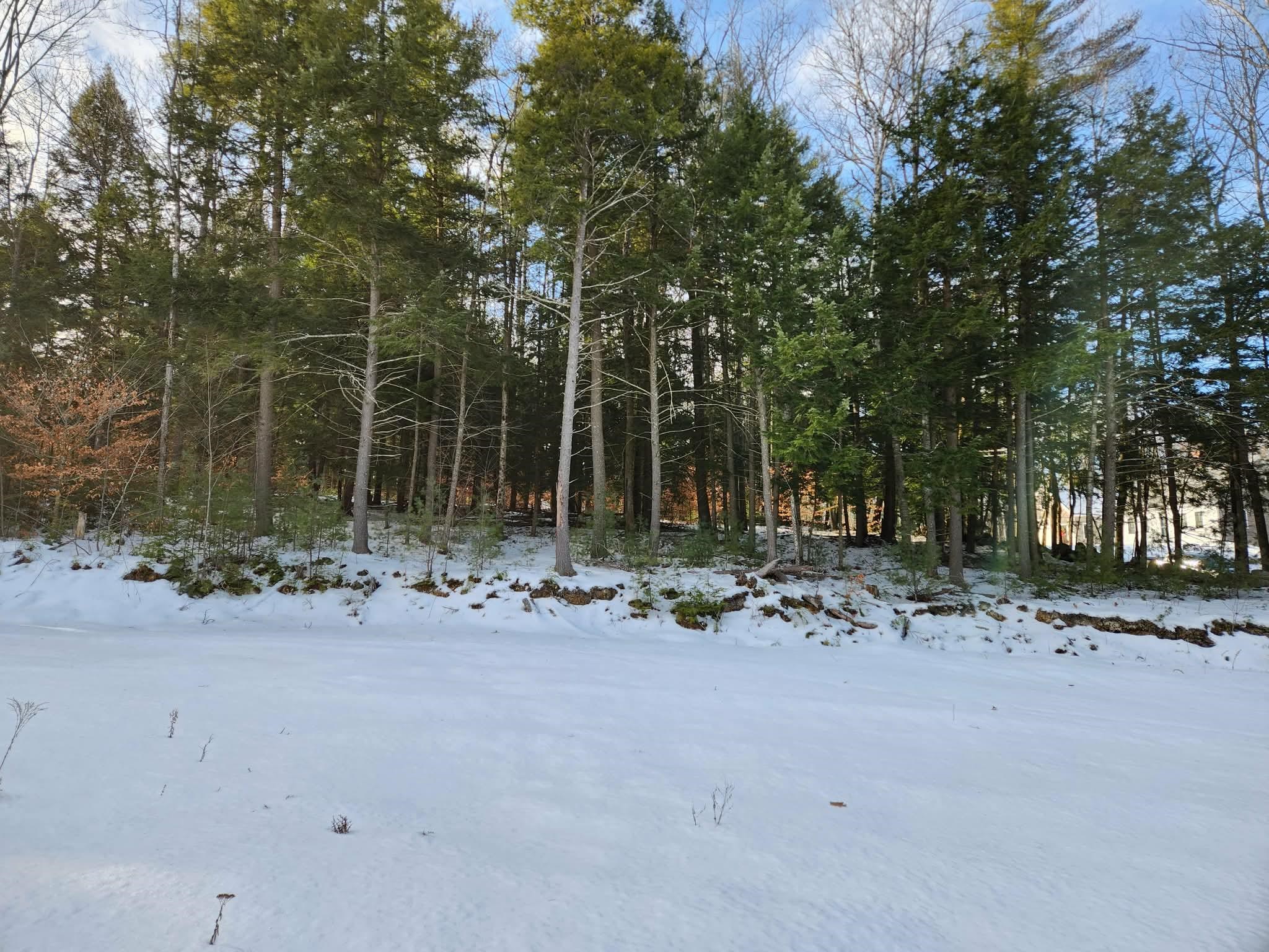 0 Munsey Road, Unit 123106 Gilmanton, NH 03237 - Photo 13 of 30 Gallery Image 13