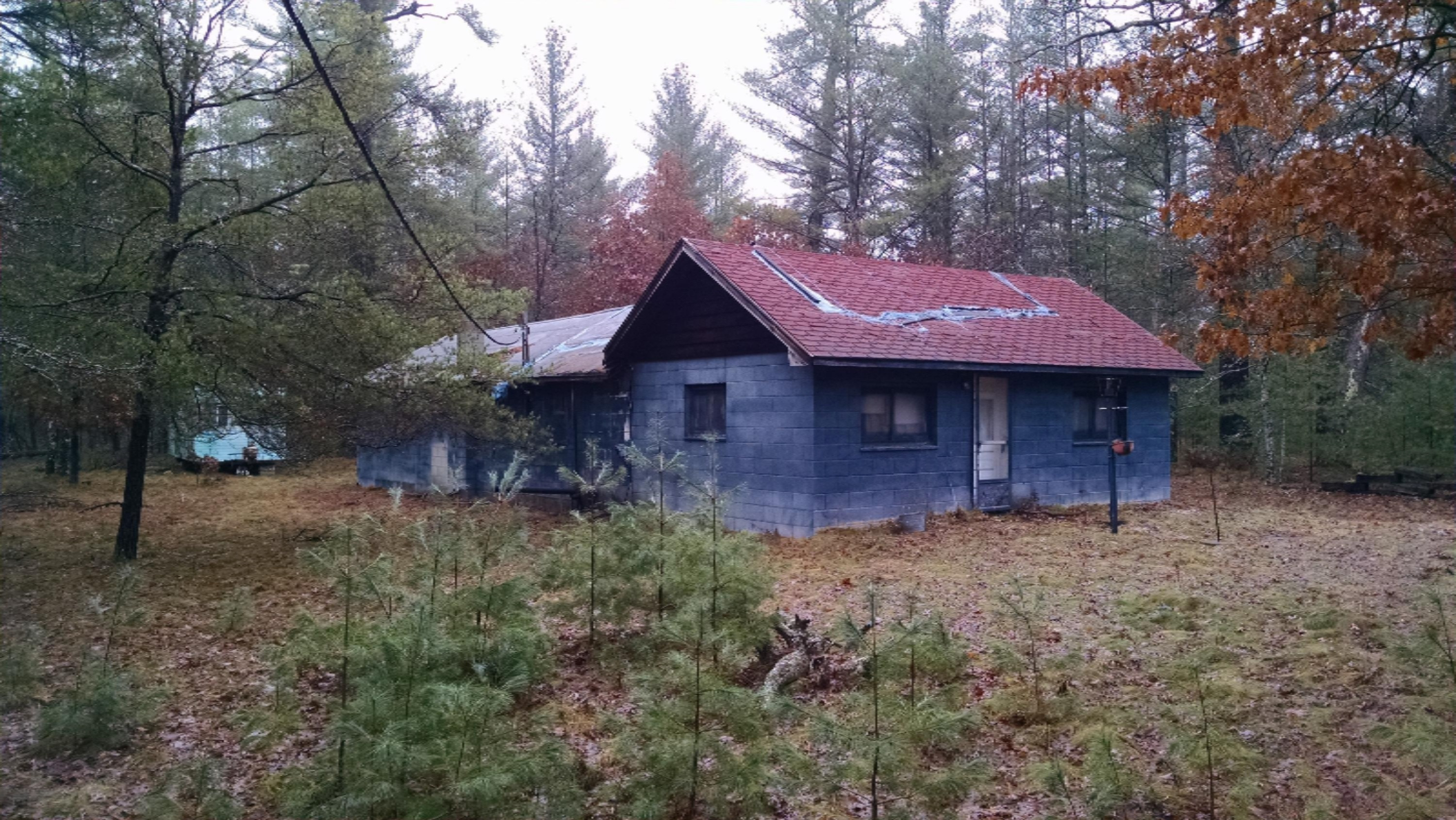 2386 East Camp Road Chase, MI 49623 - Photo 2 of 12 X 002