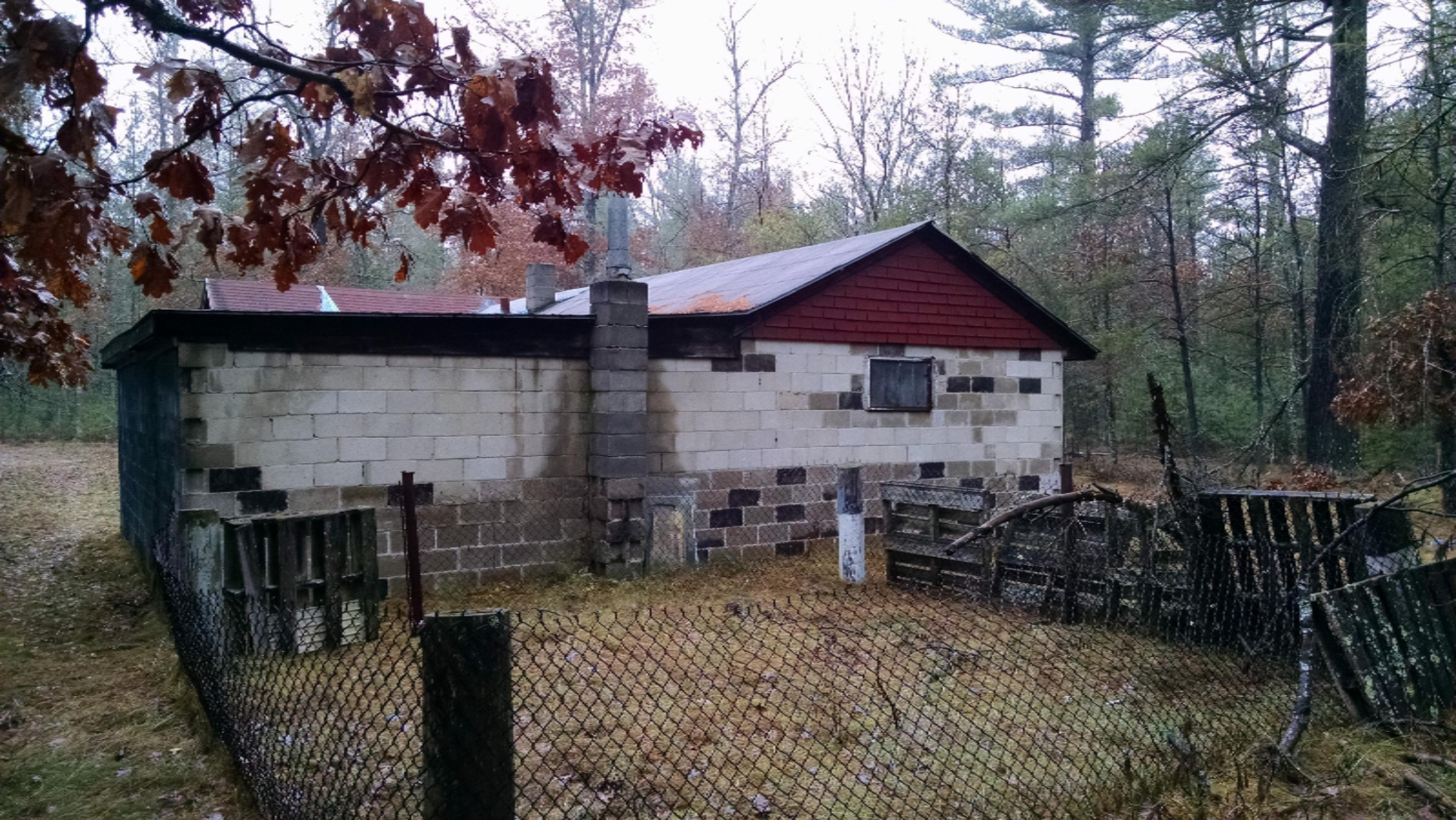 2386 East Camp Road Chase, MI 49623 - Photo 3 of 12 X 003