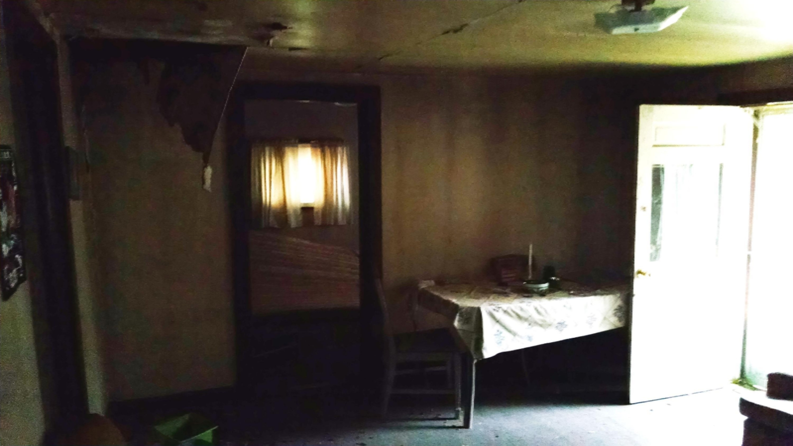 2386 East Camp Road Chase, MI 49623 - Photo 5 of 12 X 005