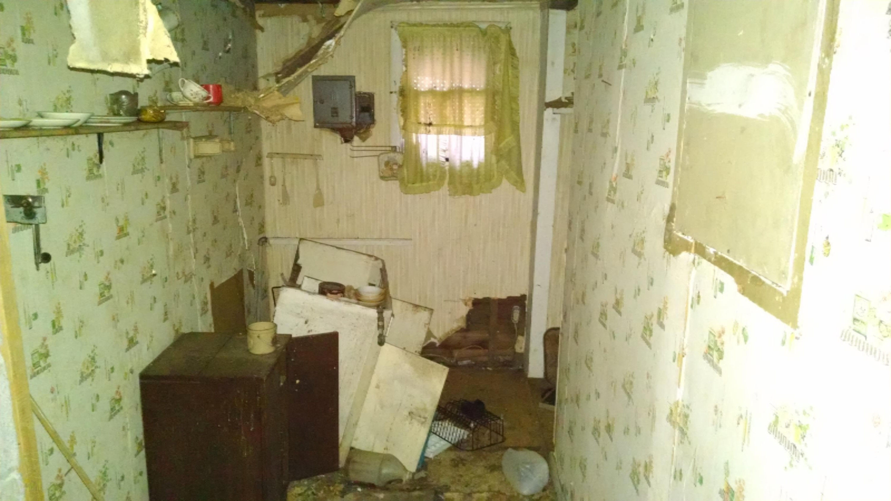 2386 East Camp Road Chase, MI 49623 - Photo 9 of 12 X 009