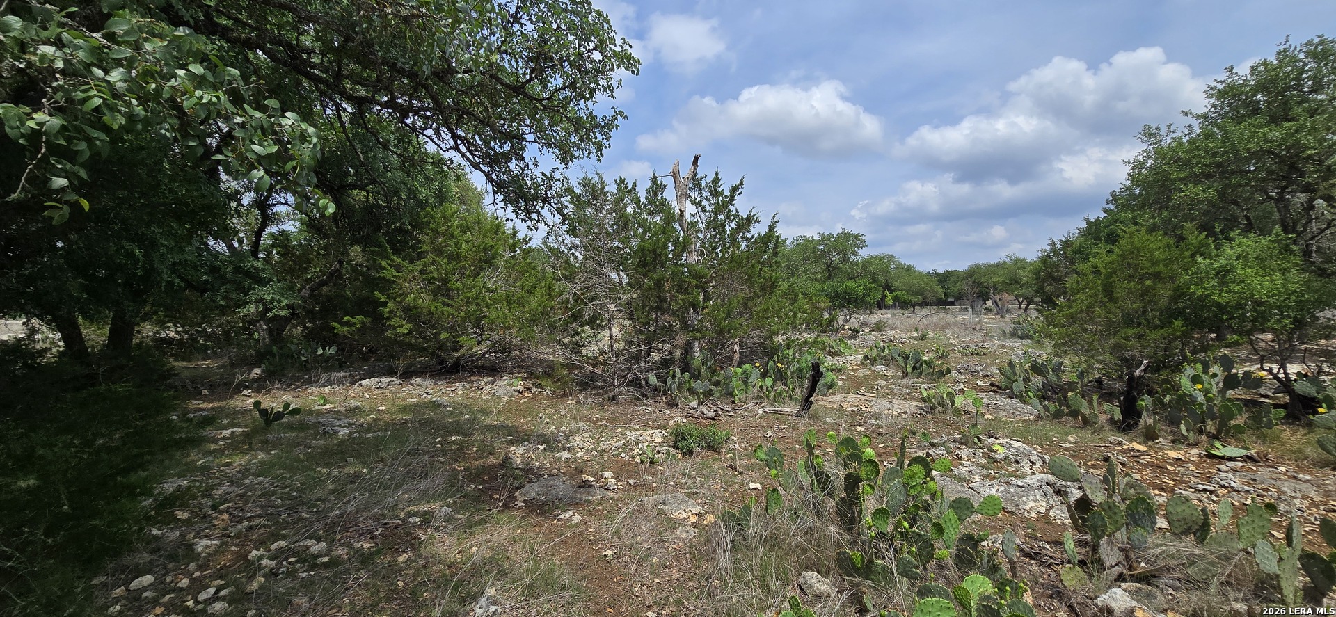 615 Rittimann Road Spring Branch, TX 78070 - Photo 12 of 18