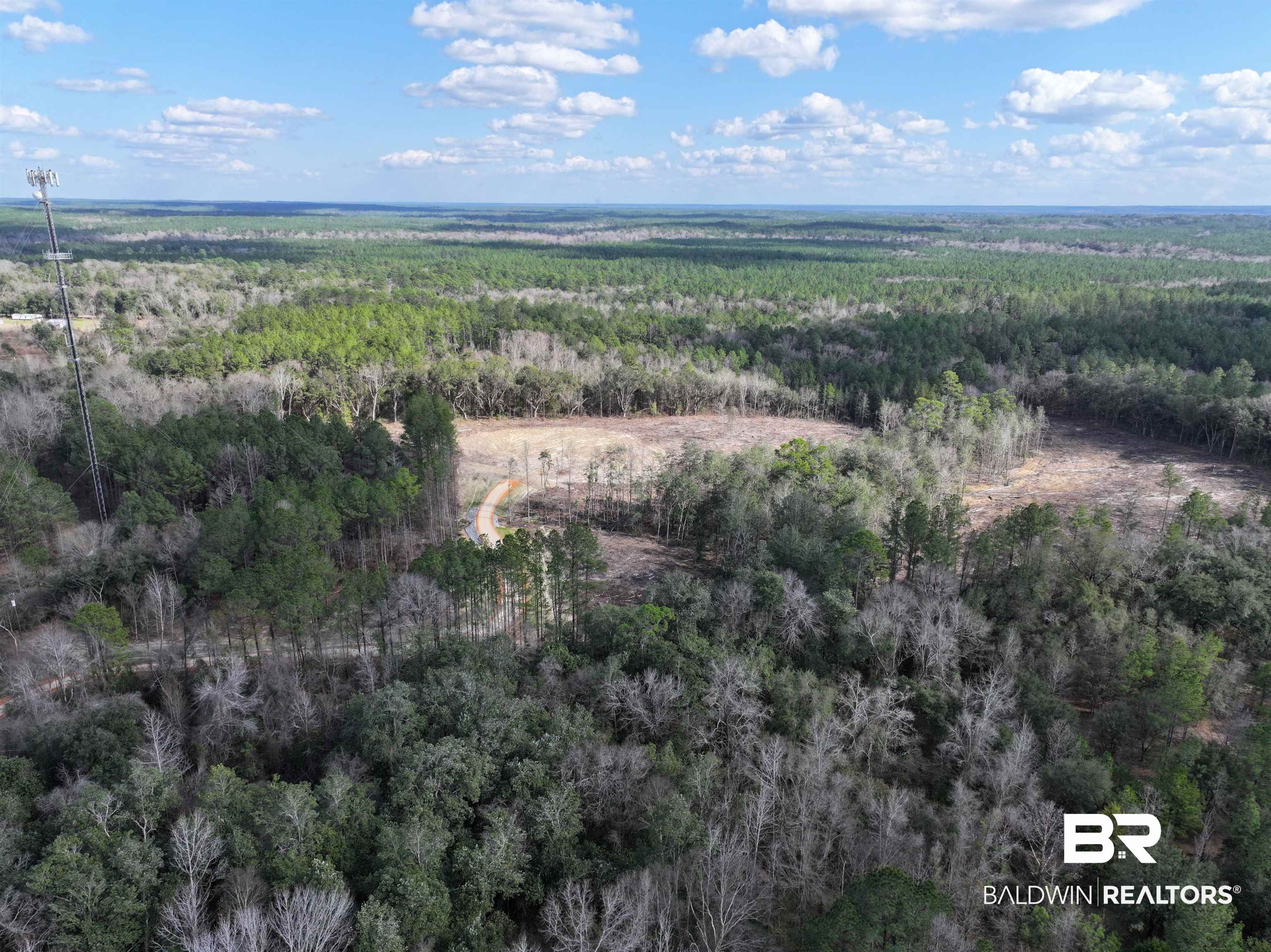 0 Kirkland Road Brewton, AL 36426 - Photo 4 of 10