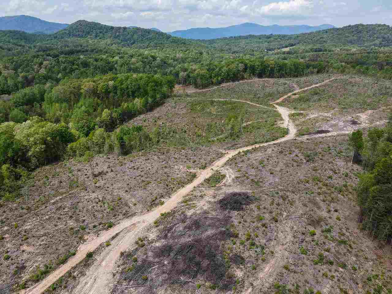 Tract D Belue Mill Road Landrum, SC 29356 - Photo 20 of 31