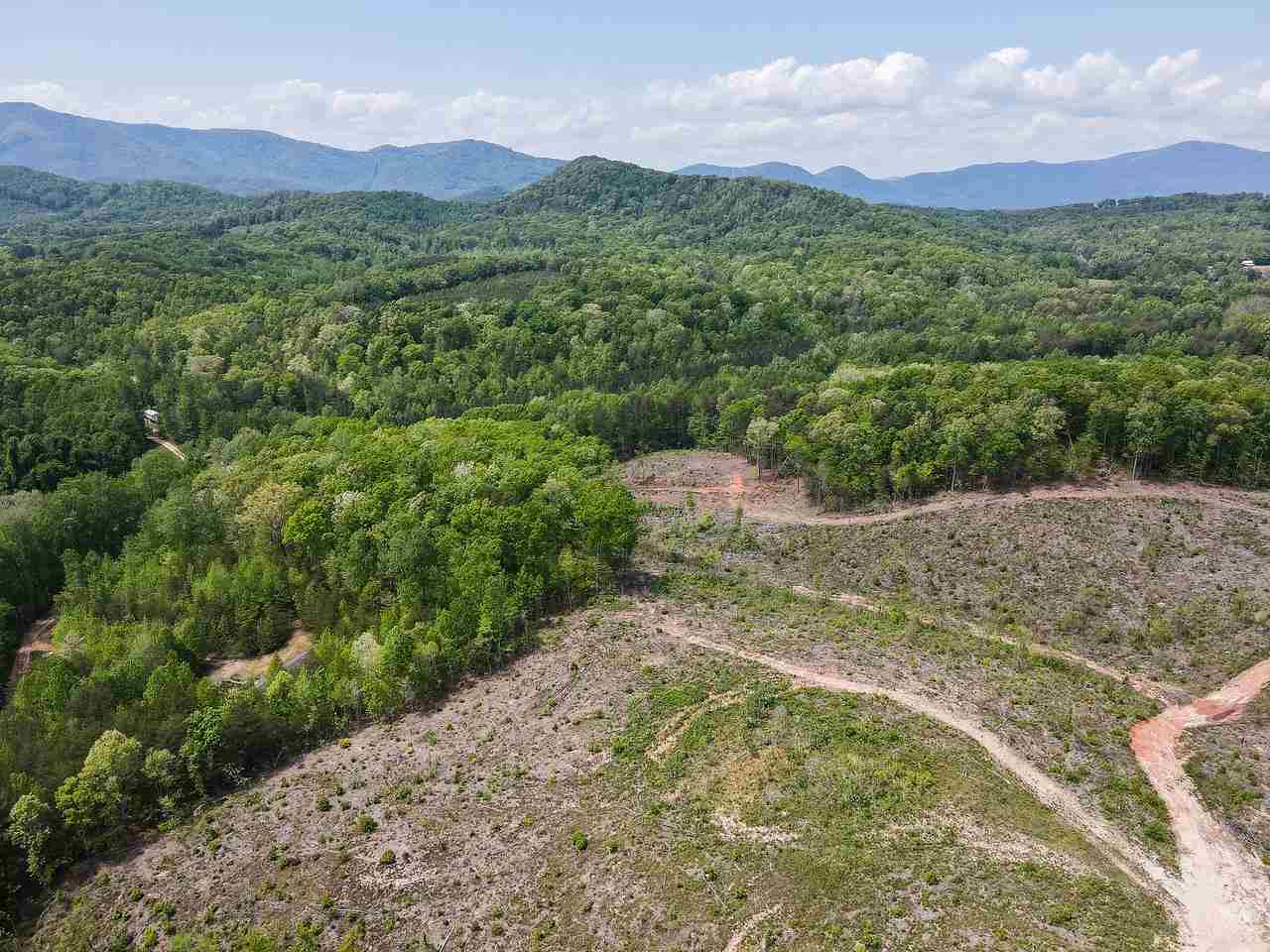 Tract D Belue Mill Road Landrum, SC 29356 - Photo 5 of 31