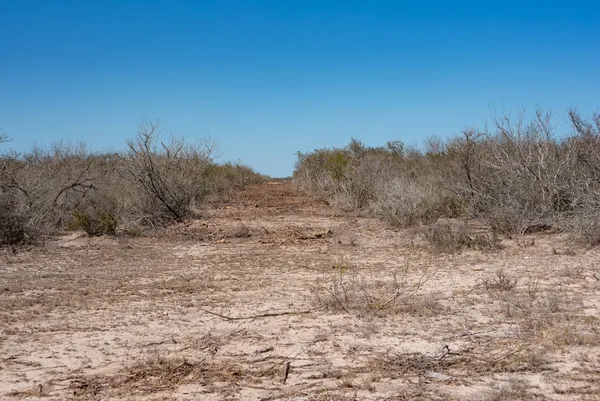 $1,825,918 | Tbd Cr 325, Freer, TX 78357