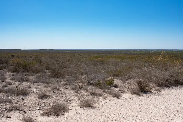 $1,825,918 | Tbd Cr 325, Freer, TX 78357