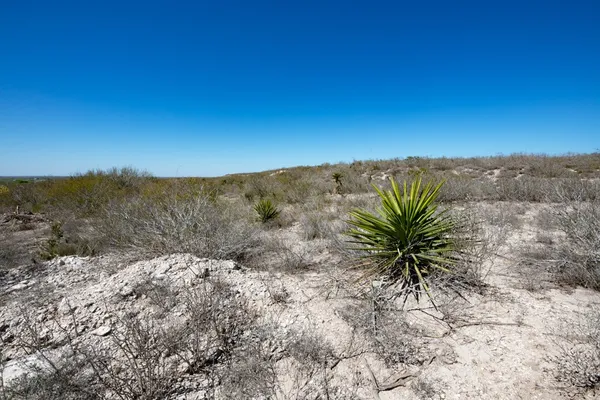 $1,825,918 | Tbd Cr 325, Freer, TX 78357