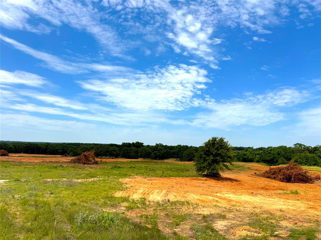 Tbd Turpin Lake Road Poolville, TX 76487 - Photo 16 of 26