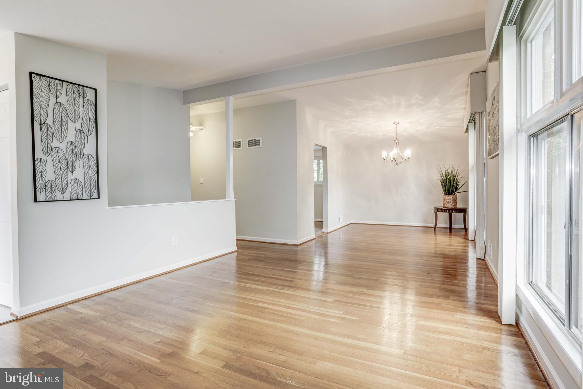 206 Bluff Terrace Silver Spring, MD 20902 - Photo 8 of 48 Gallery Image 8