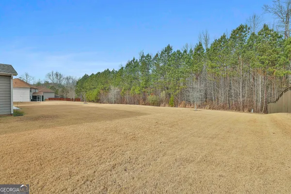 $4,000 | 435 Park Haven Lane, Tyrone, GA 30290